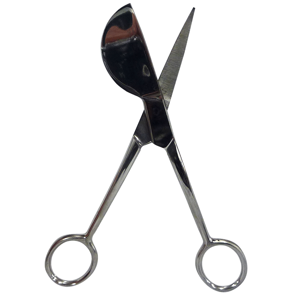 Applique Scissors, Steel Chrome - View 2